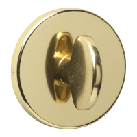 ASEC URBAN Bathroom  Escutcheon  - Polished Brass