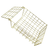 ASEC 62S Small Letter Cage  305mmH x 229mmW x 127mmD - Brass