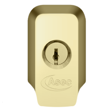 ASEC High Security Rim Cylinder Pull With Cylinder  - Polished Brass