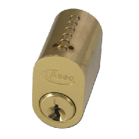 ASEC 6-Pin Scandinavian Oval External Cylinder  Keyed To Differ  - Polished Brass
