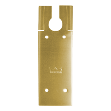 DORMAKABA Cover Plate To Suit BTS80  - Satin Brass