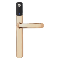 YALE Conexis L1 British Standard Smart Door Lock - No Module  - Polished Brass