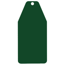 U-MARQ Rectangular Luggage Label Style Key Tag  75mm x 35mm - Green