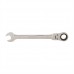 Flexible Head Ratchet Spanner (24mm)