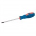 General Purpose Screwdriver Slotted Parallel (5 x 100mm)