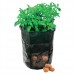 Potato Planting Bag (360 x 510mm)