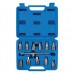 Universal Drain Plug Key Set 12 pieces (3/8in / 8 - 17mm)