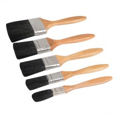 Mixed Bristle Brush Set (5 pieces)